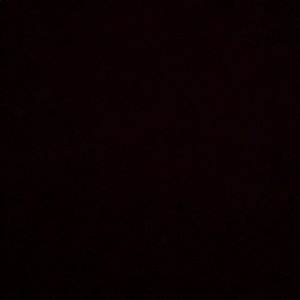 Meet your Posher, Treasure